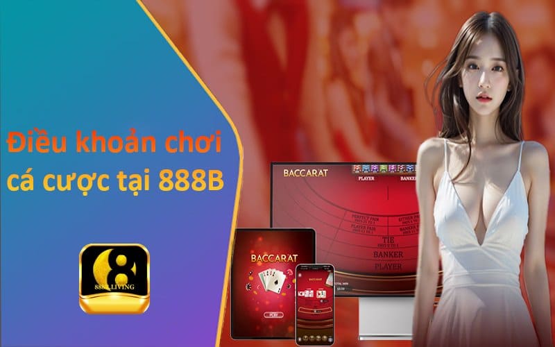 Điều khoản và điều kiện 888B cho toàn thể hội viên cá cược 2 điều kiện trong đăng ký thành viên 888B